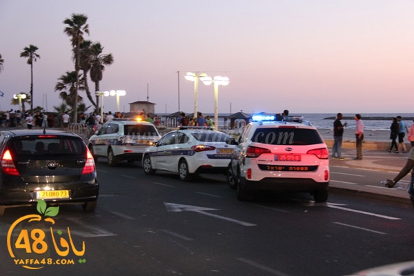 ta3n yaffa northt3 (4).JPG